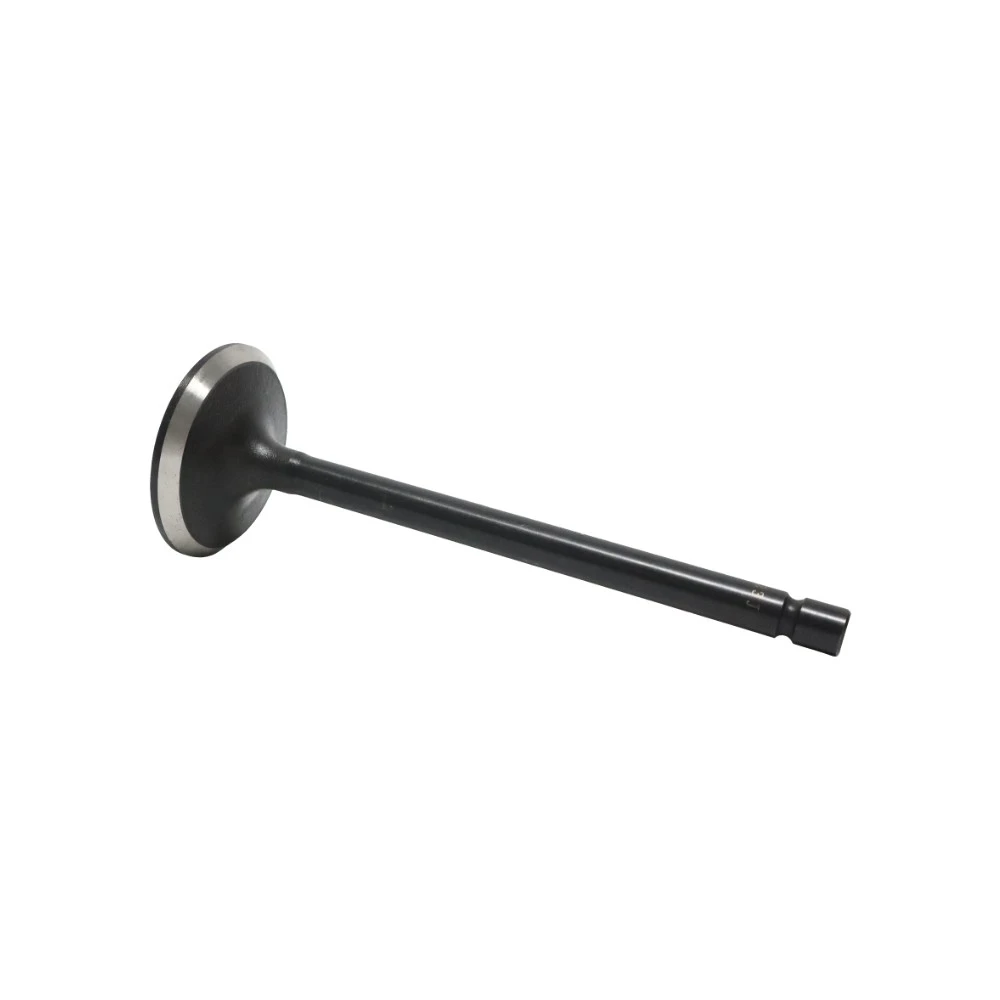 8971317293 4KH1-TC Intake Valve For ISUZU NKR77 8-97131729-3 8971317293 4KH1-TC Intake Valve For ISUZU NKR77 8-97131729-3